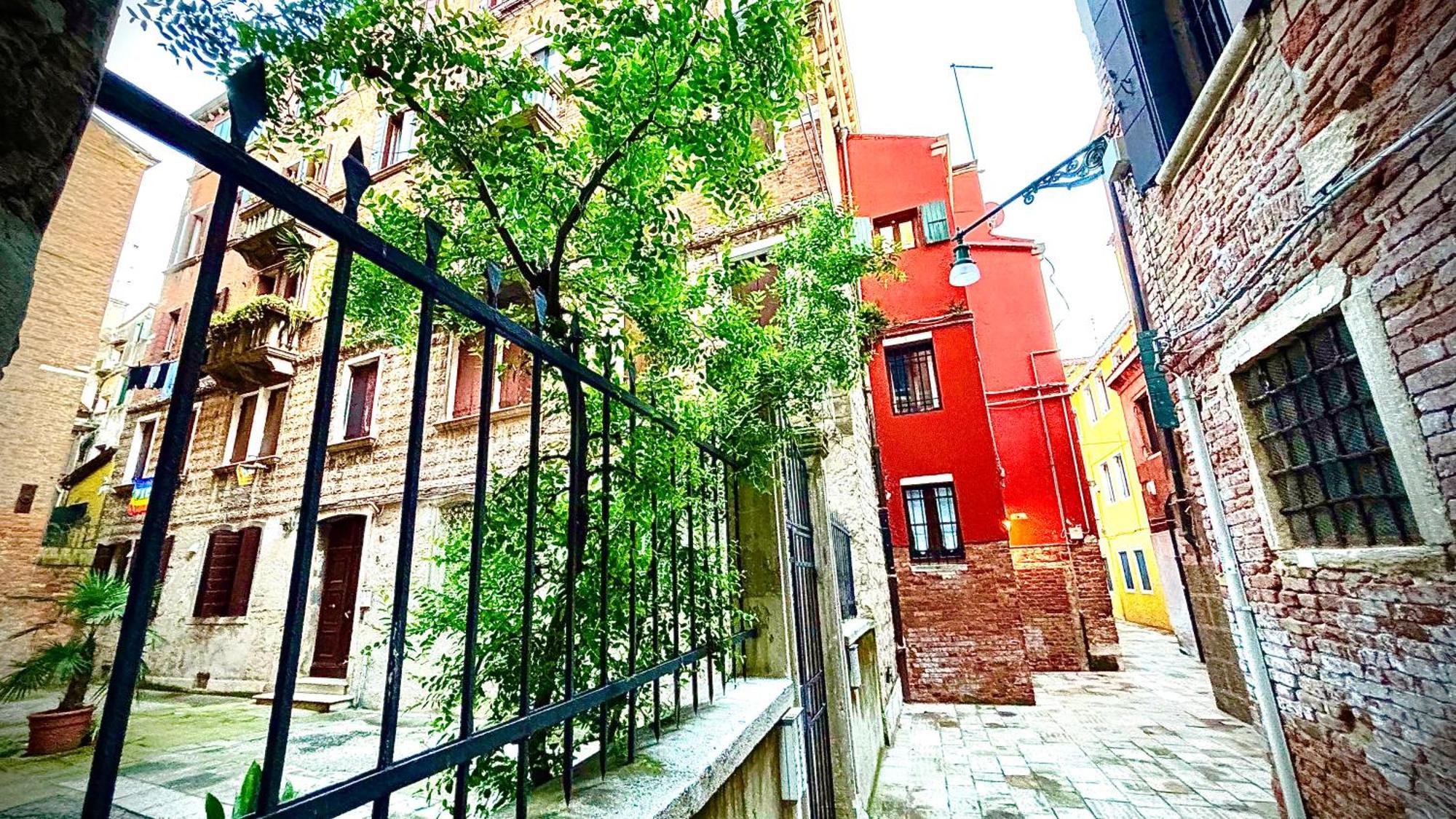Apartamento Falier- Luminosa